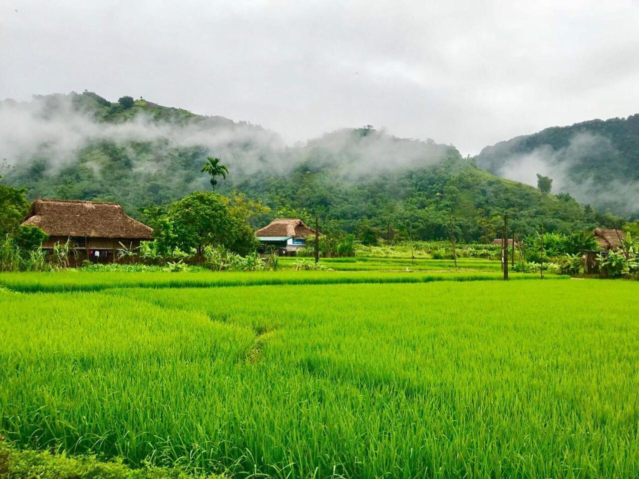 Xoi Farmstay - Eco Homestay Luc Yen Yen Bai エクステリア 写真