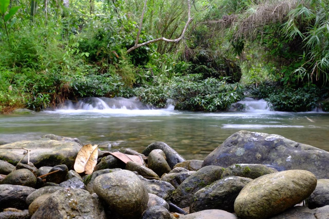 Xoi Farmstay - Eco Homestay Luc Yen Yen Bai エクステリア 写真