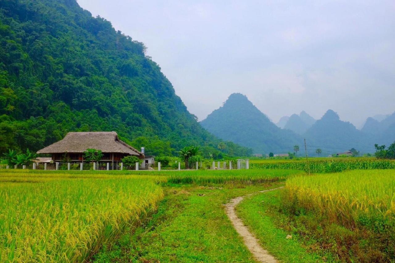 Xoi Farmstay - Eco Homestay Luc Yen Yen Bai エクステリア 写真