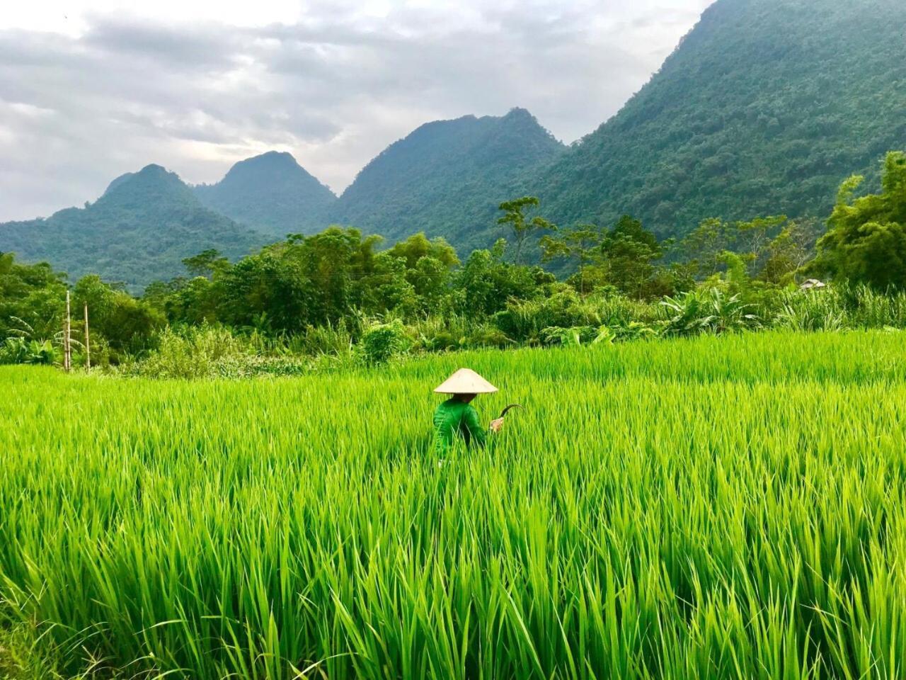 Xoi Farmstay - Eco Homestay Luc Yen Yen Bai エクステリア 写真