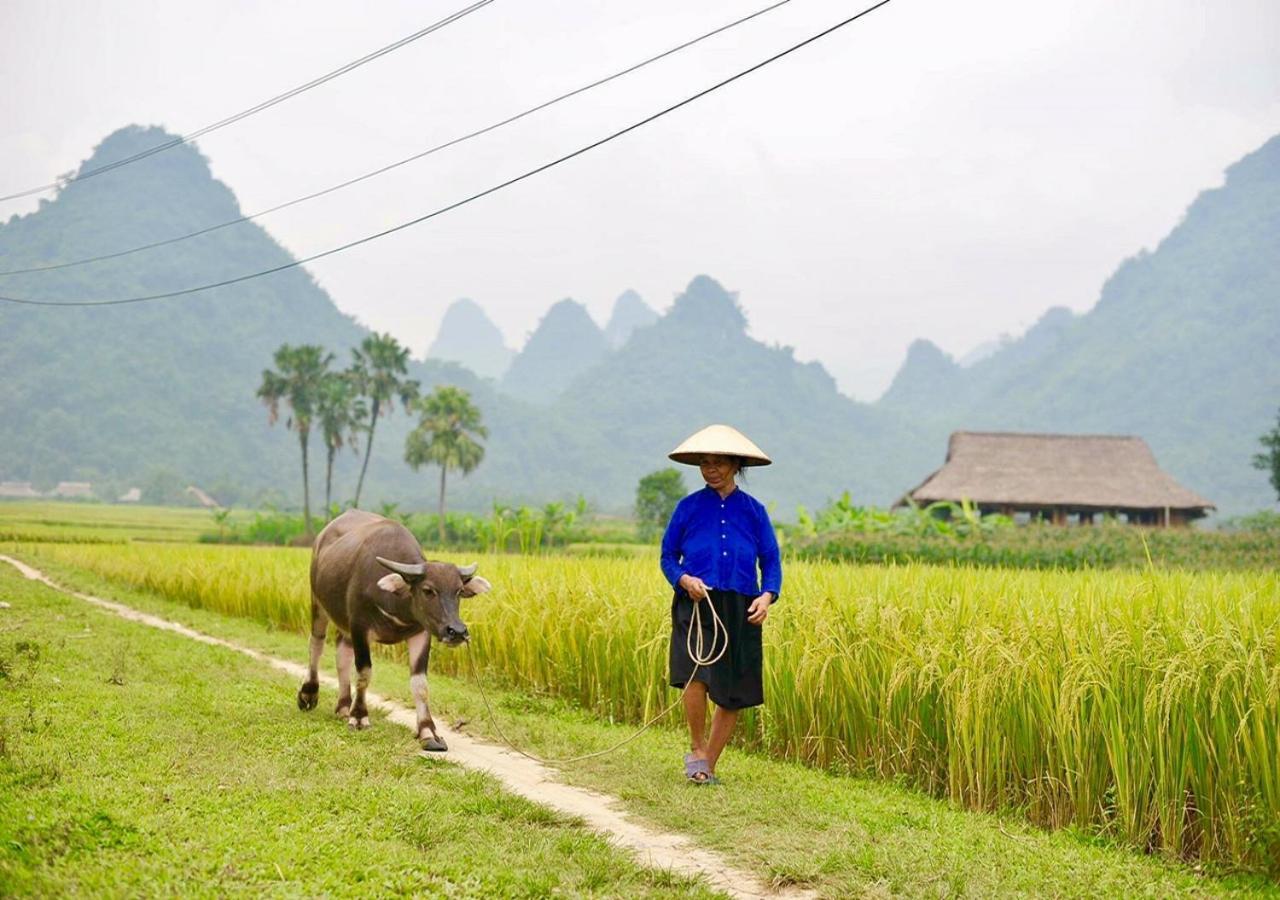 Xoi Farmstay - Eco Homestay Luc Yen Yen Bai エクステリア 写真