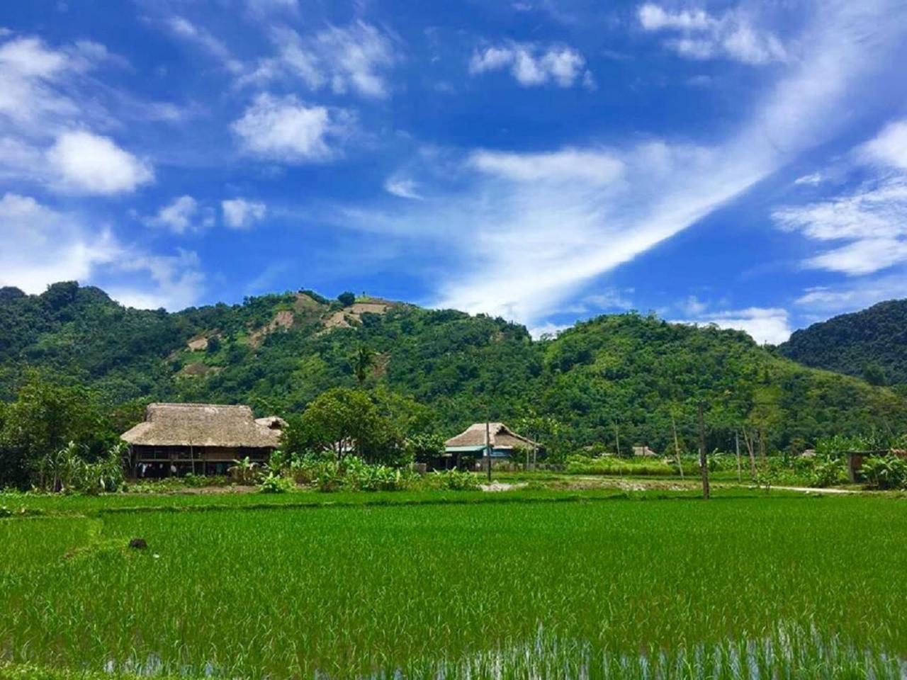 Xoi Farmstay - Eco Homestay Luc Yen Yen Bai エクステリア 写真